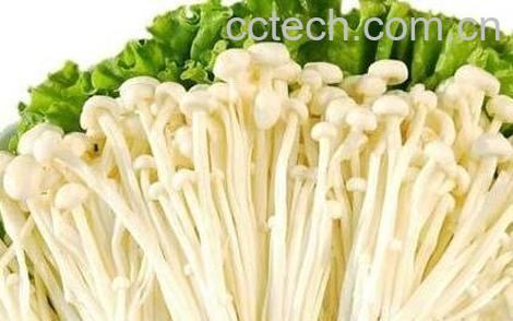 如何清洗金针菇-0