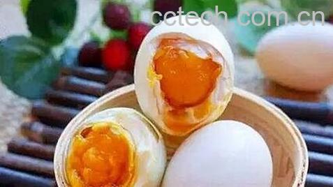咸鸭蛋如何腌制-0