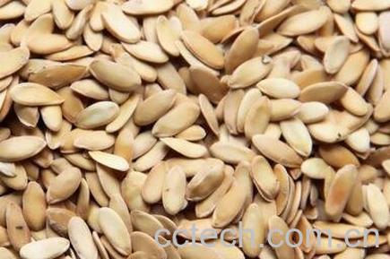 中药黄瓜籽的功效与作用-0