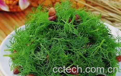 小茴香怎么吃-0