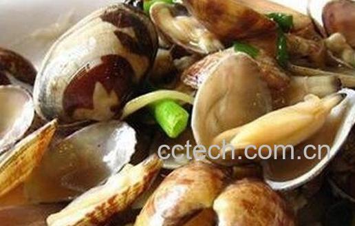 文蛤怎么清洗-0