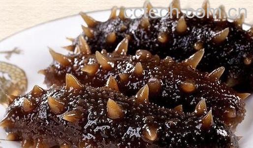 海参的营养价值与功效-0