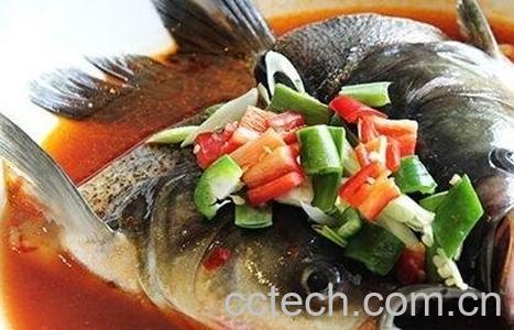 胖头鱼的功效与作用-0