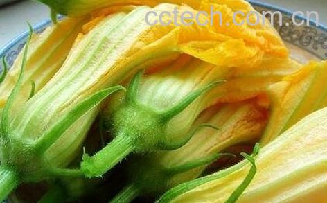 南瓜花的功效-0