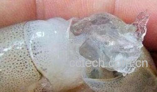 注胶虾怎么分辨 -0