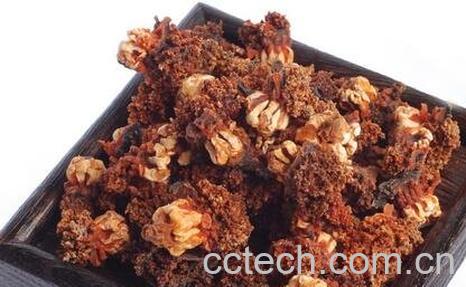 海参花的营养价值-0