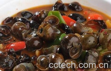 孕妇能吃田螺吗-0