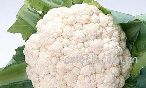 菜花的营养价值及功效-0