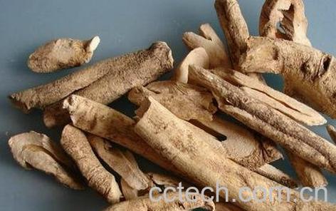 中药姜皮的功效与作用-0