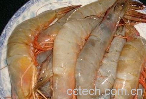 海虾的营养价值-0