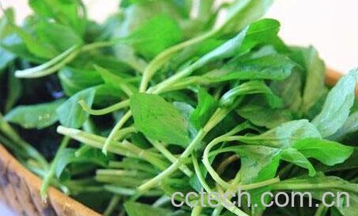 马兰头做菜要焯水吗-0