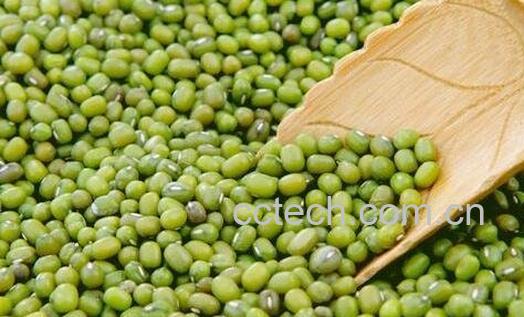  哪些人不能吃绿豆-0