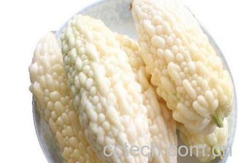 白苦瓜的功效作用与食用方法-0