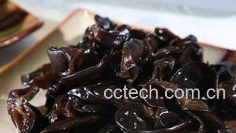 黑木耳的营养价值-0