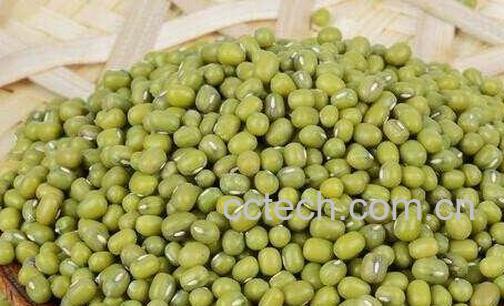 孕妇能吃绿豆吗-0