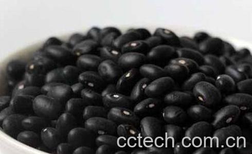 黑豆的食用方法与食疗功效-0