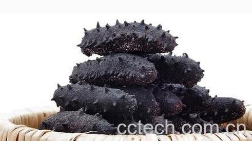 干海参的神奇功效有哪些-0