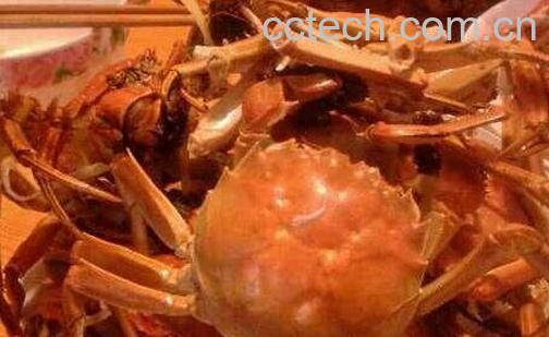 吃螃蟹的禁忌与注意事项-0