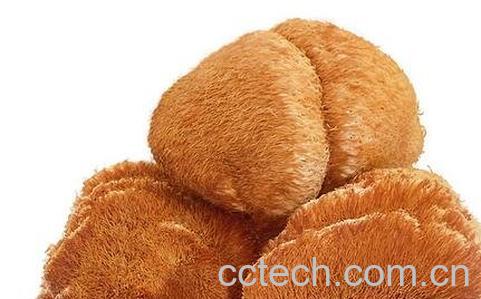  孕妇可以吃猴头菇吗-0