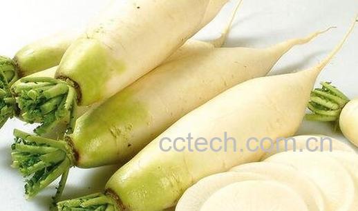 红薯和白萝卜能一起吃吗 -0