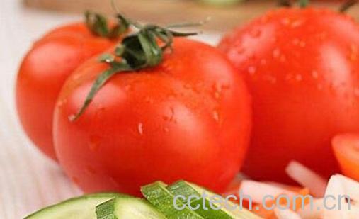  西红柿能和黄瓜一起吃吗-0
