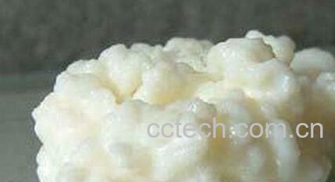 藏灵菇有什么药用价值-0