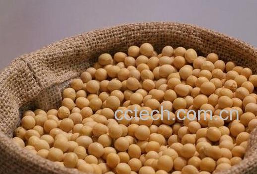 大豆的营养价值与功效-0