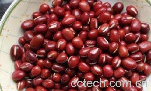 赤小豆的功效与有哪些-0