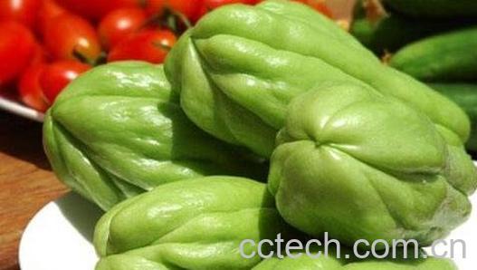 佛手瓜的功效有哪些 佛手瓜怎么吃-0