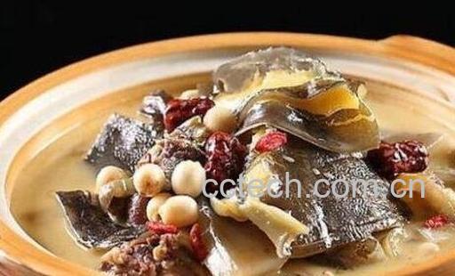 甲鱼汤的饮食禁忌与注意事项-0