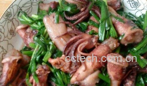  海兔的功效与作用-0