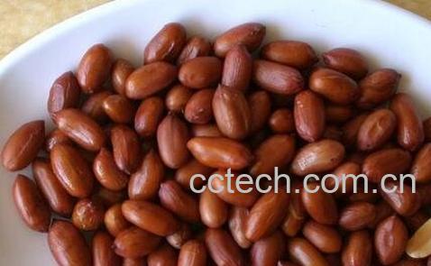 花生米的做法-0