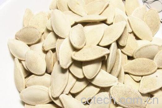  南瓜子的功效与作用与副作用-0