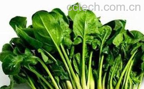 春天吃什么菜能降火-0