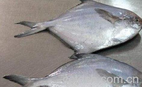 海鲳鱼怎么去腥-0