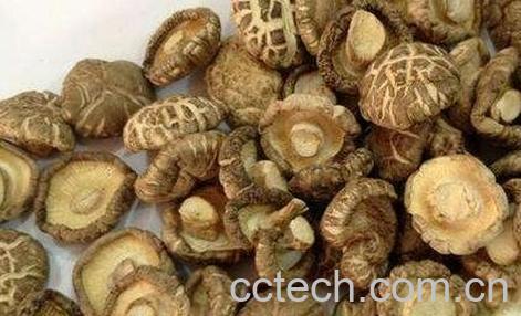 香菇与花菇的区别-0