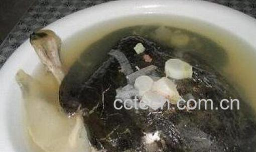 甲鱼汤的功效与作用-0
