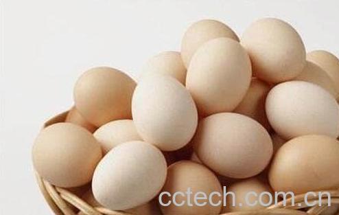 鸡蛋的营养价值-0
