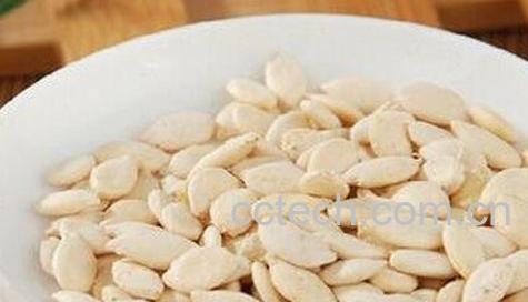 冬瓜子能吃吗-0