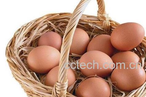 鸡蛋的食用禁忌与注意事项-0