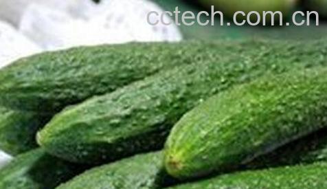 黄瓜怎么用美容效果好-0