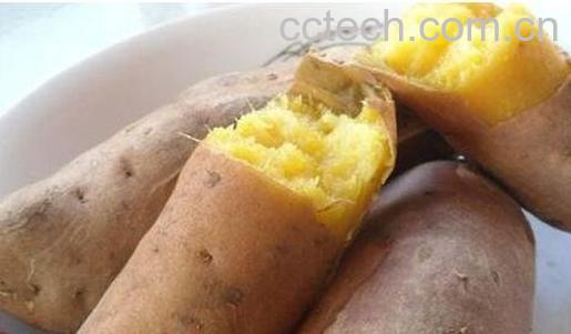 白薯的营养价值与功效-0