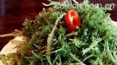 鹿角菜的功效与作用-0