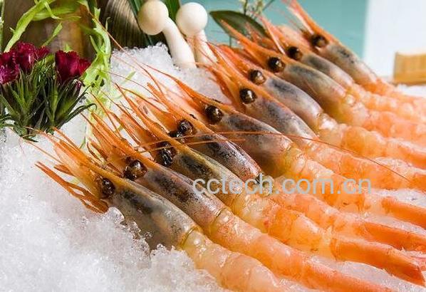 甜虾-0