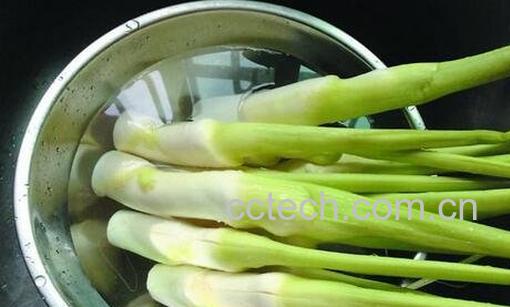 茭白的功效作用与做法-0