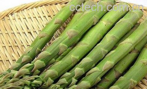 芦笋怎么吃-0