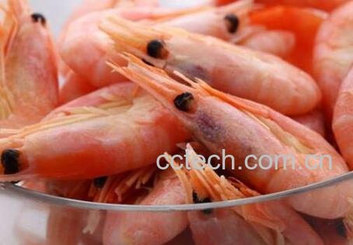 北极冻虾-0