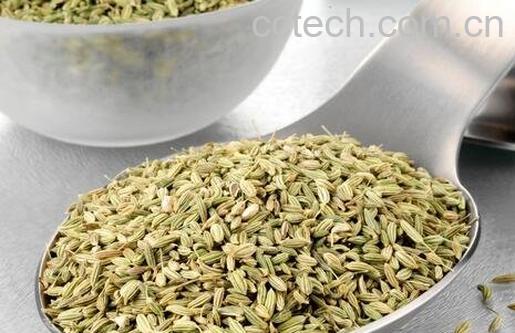 茴香籽的功效与作用-0