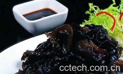 黑木耳的药用价值-0