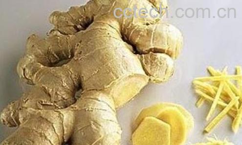 生姜真的可以生发吗-0